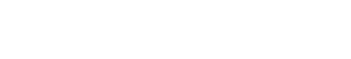netzwerk logo