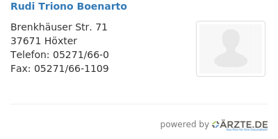 Rudi triono boenarto