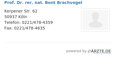 Prof dr rer nat bent brachvogel